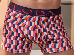 LadyVictoria - Lenceria por mayor - BOXER ESTAMPADO ALG Y LYCRA