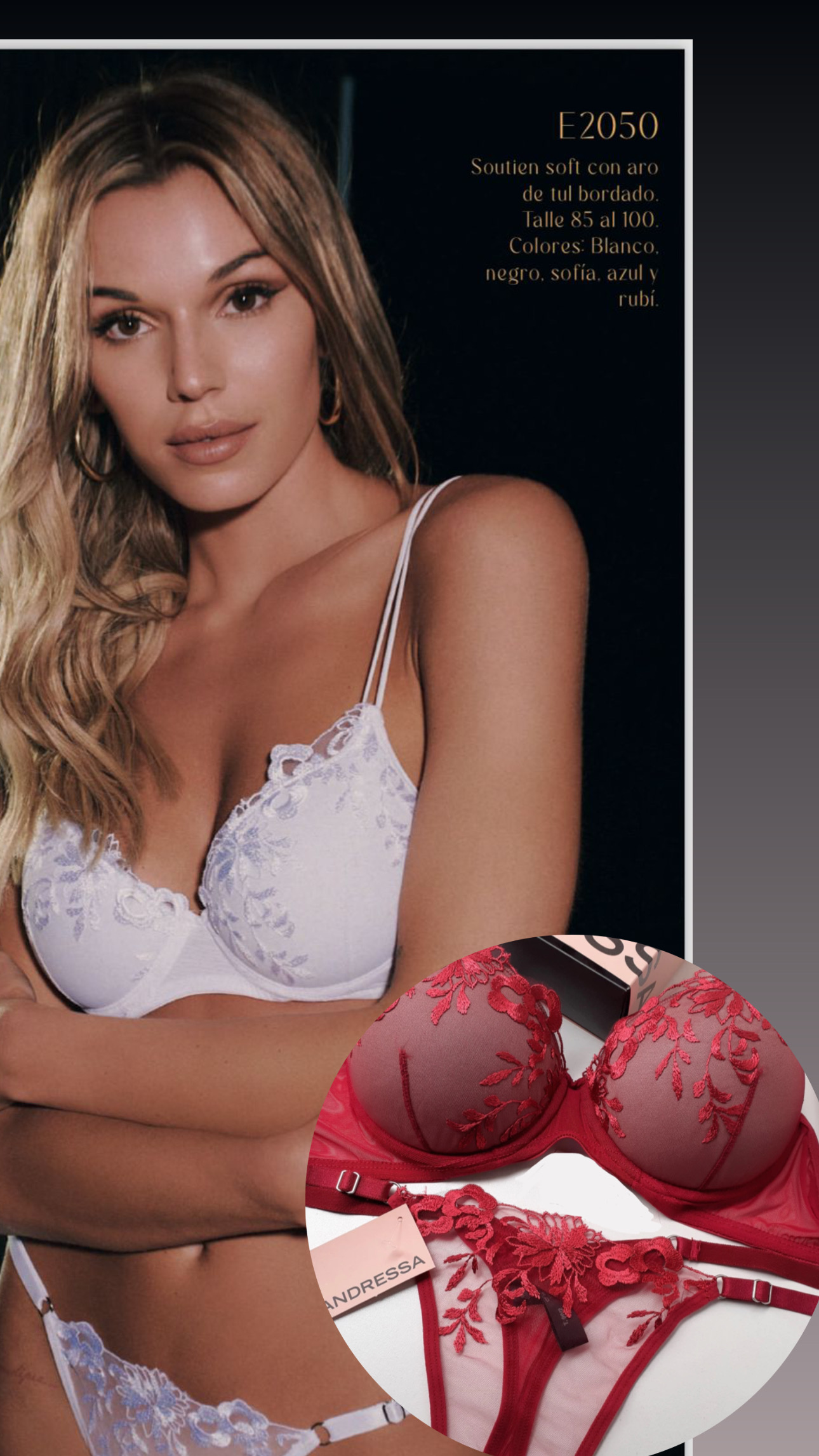 LadyVictoria - Lenceria por mayor - Conjunto Tull Bordado Taza Soft Y Less Reg