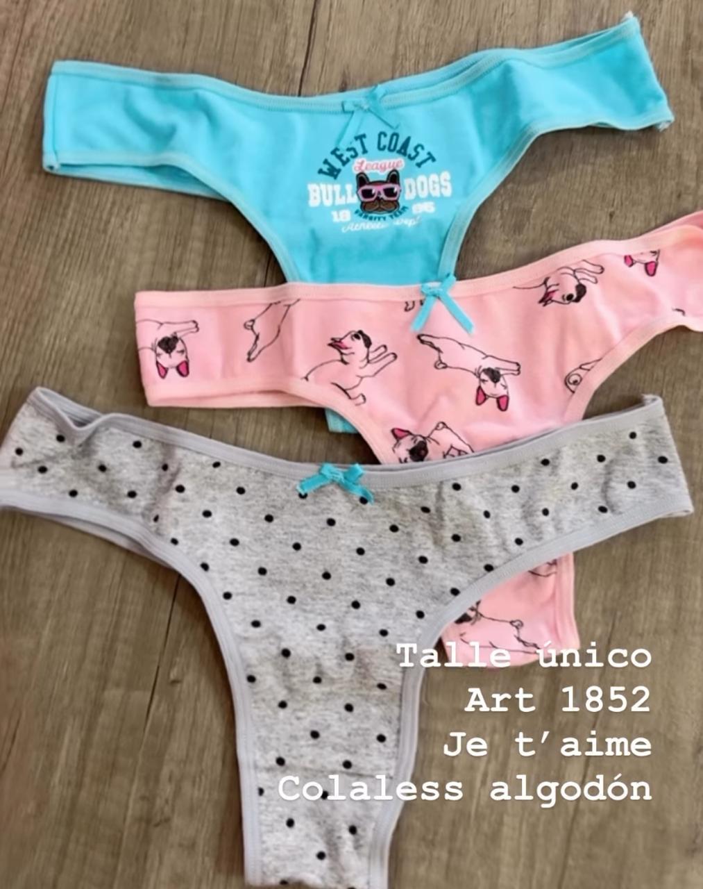 LadyVictoria - Lenceria por mayor - PACK X 3 COLA LESS DE ALGODON Y LYCRA
