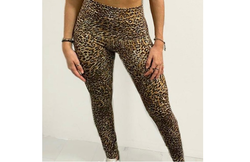 LadyVictoria - Lenceria por mayor - CALZAS ANIMAL PRINT